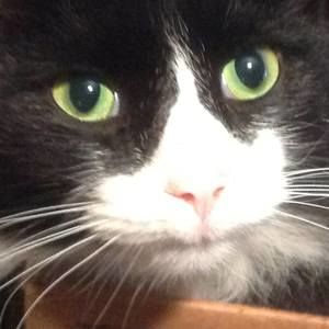 Meet your Posher, Holly